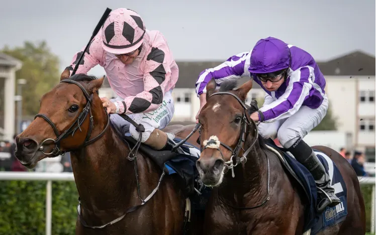 Futurity Trophy Stakes winner 2024