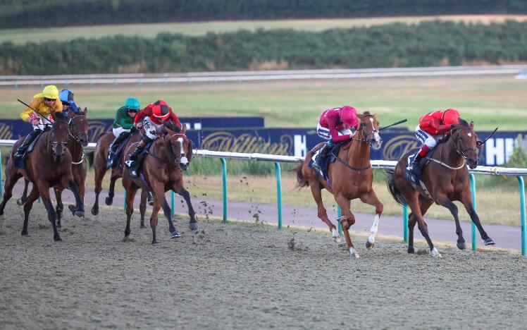 Diamond Bay at Lingfield Last week 